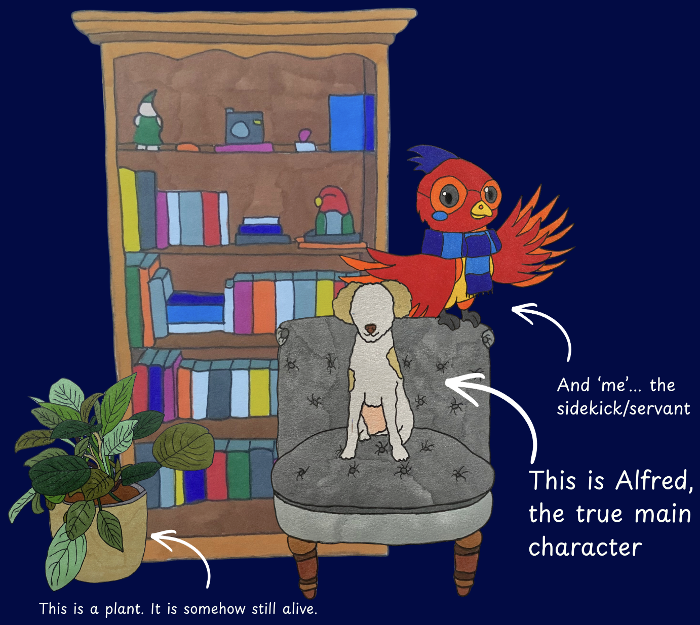 A watercolour illustration of a bookshelf filled with colourful books and trinkets, a red bird with glasses and a scarf perched on a grey armchair, a curly-haired white dog named Alfred sitting on the chair, and a potted plant, with handwritten labels introducing Alfred and the plant.